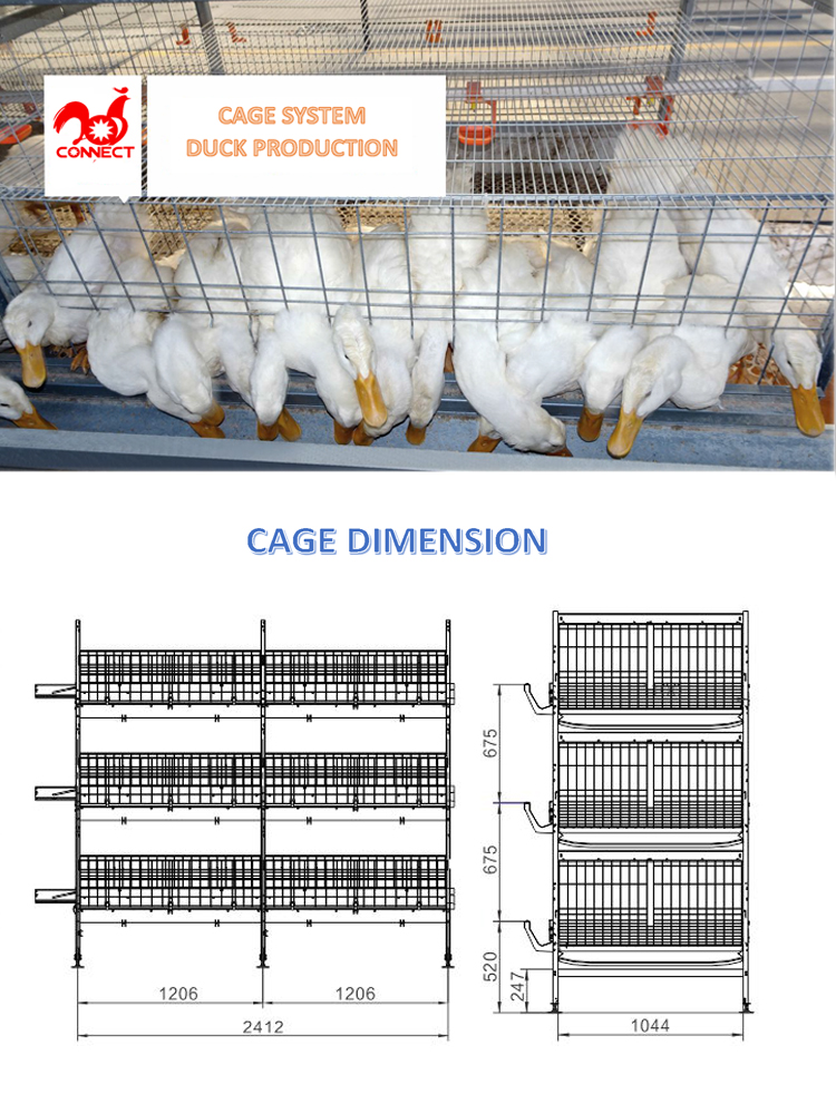 1644557816862971.jpg Cage duck 750.jpg